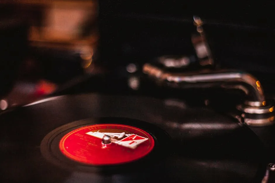 close up of dust on a vinyl record groove